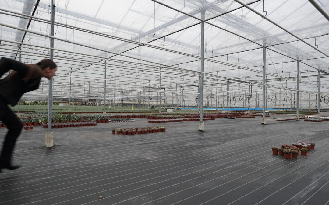 Internet before and its growing pains (1/5)