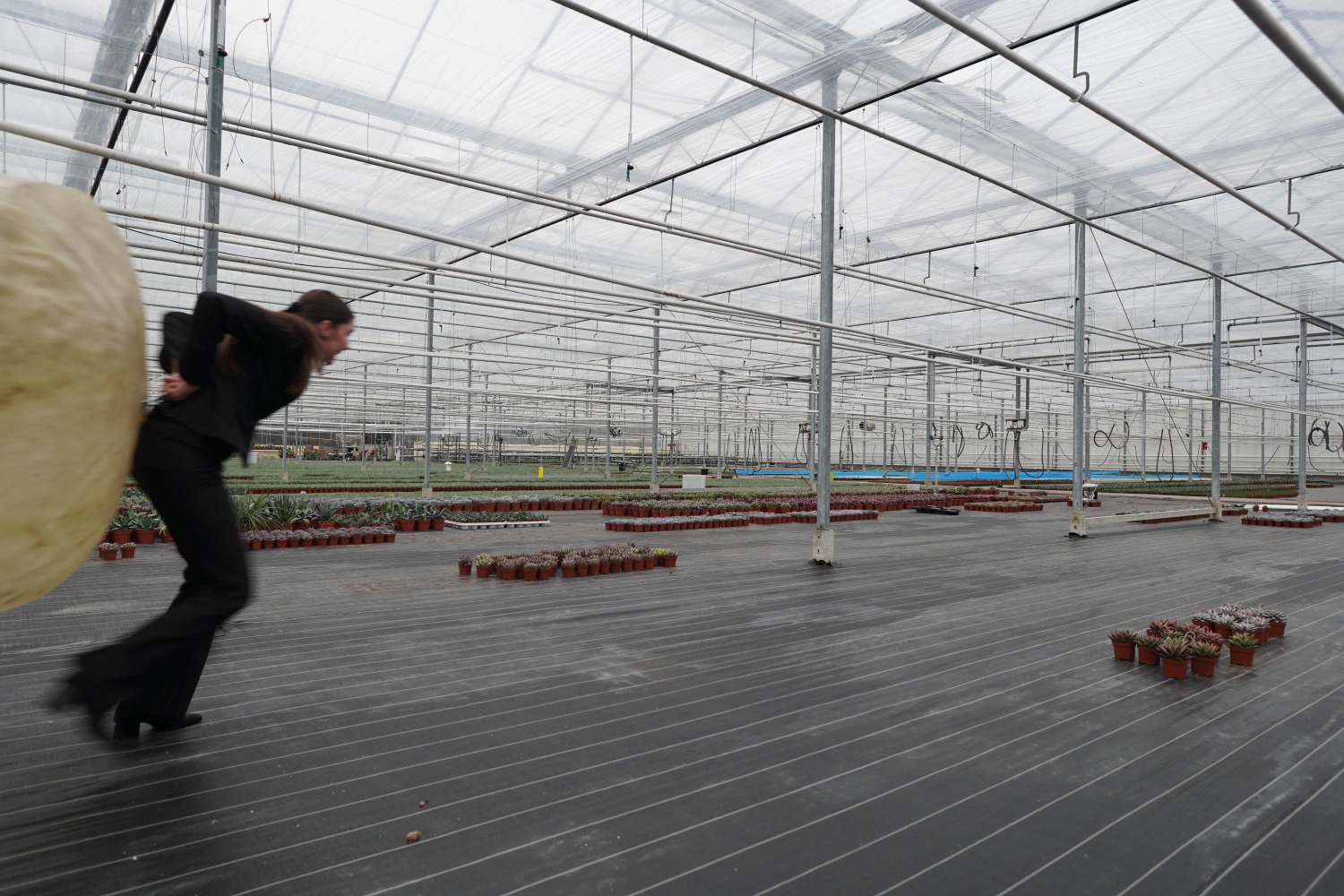 Blog3 - Rosa Groenewegen