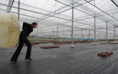 Internet before and its growing pains (4/5)